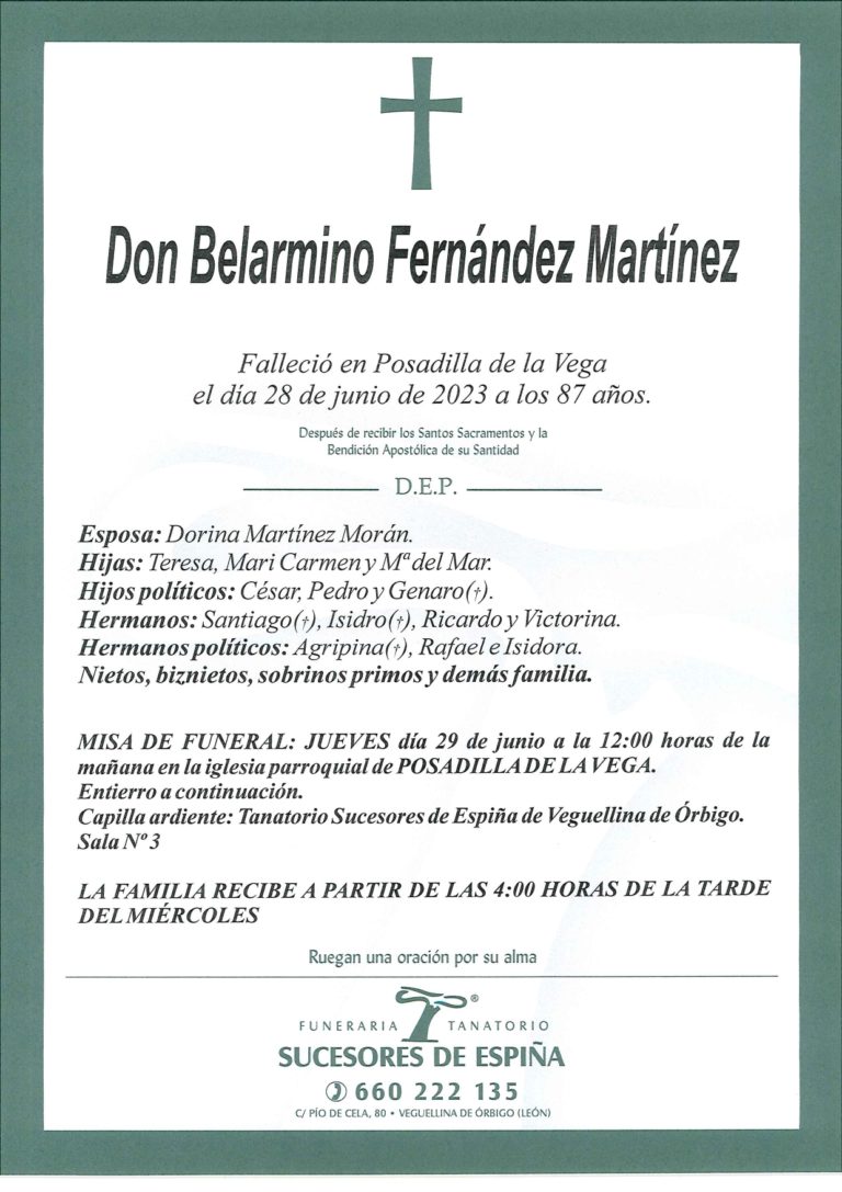 Lee más sobre el artículo BELRMINO FERNÁNDEZ MARTÍNEZ