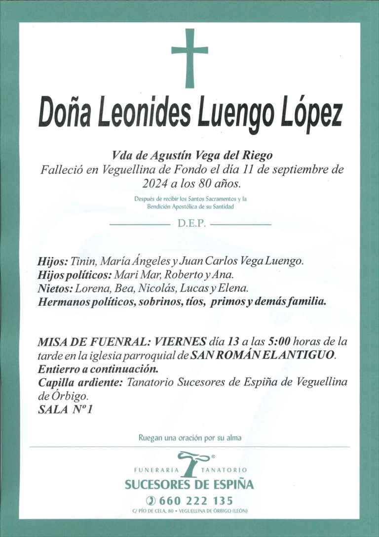 Lee más sobre el artículo LEONIDES LUENGO