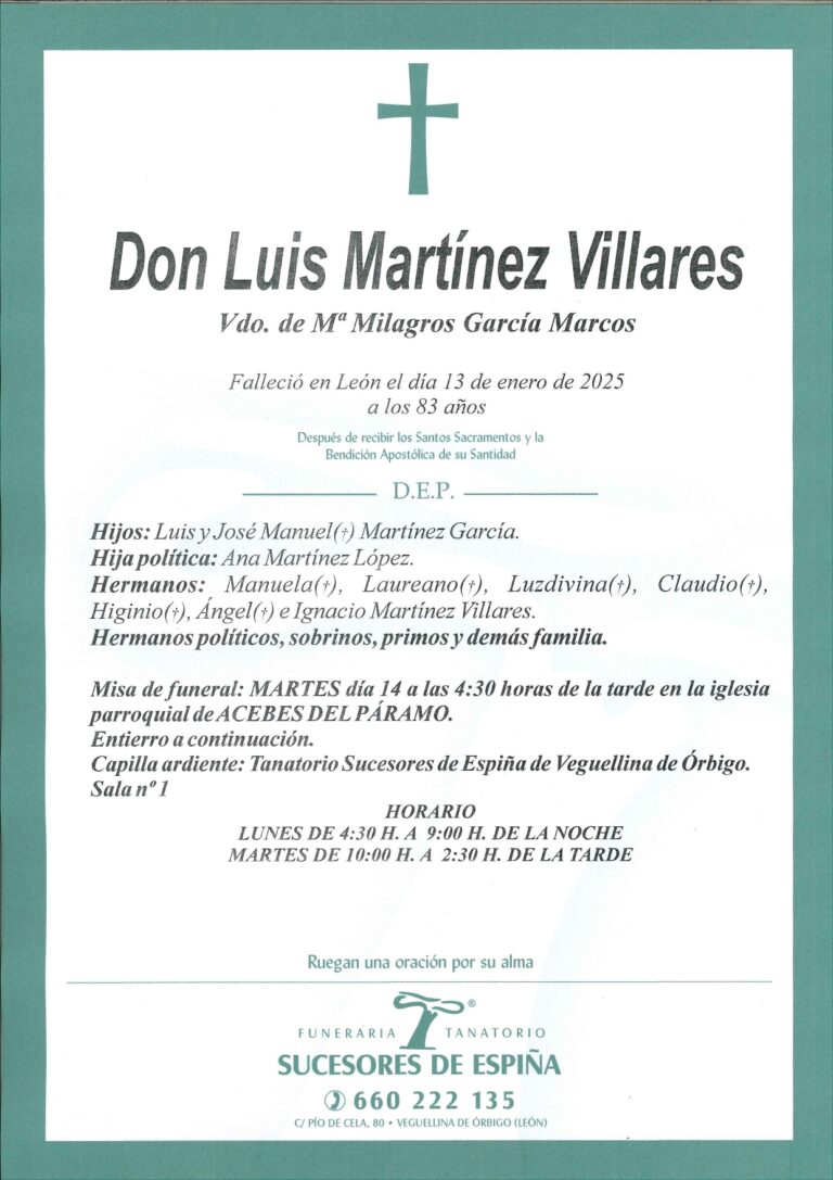 Lee más sobre el artículo Luis Martinez Villares