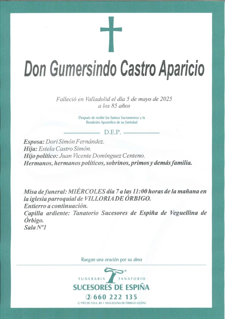 Lee más sobre el artículo Gumersindo Castro Aparicio