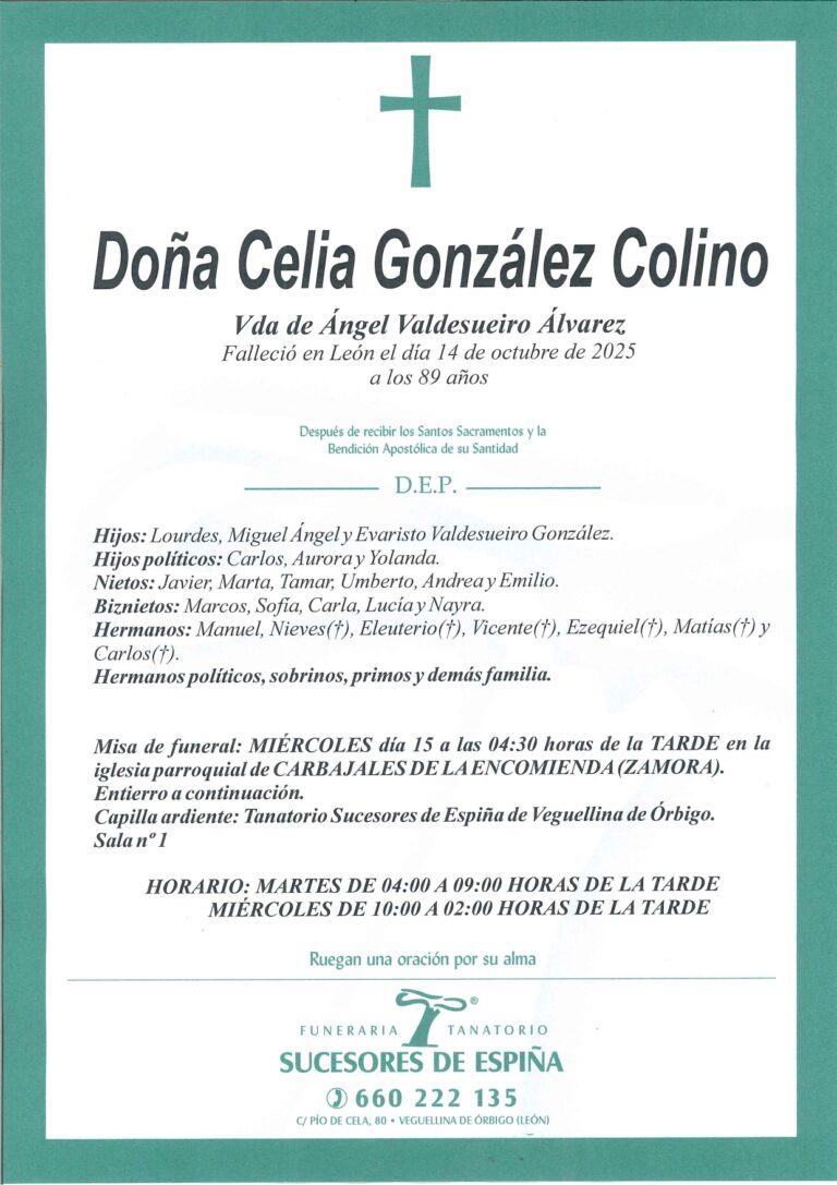Lee más sobre el artículo CELIA GONZÁLEZ COLINO