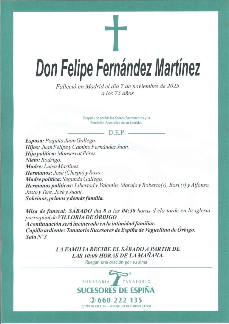 Lee más sobre el artículo FELIPE FERNANDEZ